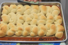 Dinner Rolls